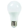 Ampoule LED E27