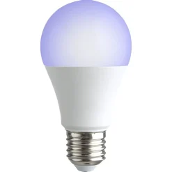 Ampoule LED E27 A60 couleurs changeantes avec télécommande 806lms