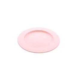 Assiette plastique coloré Ø 24 cm