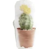 Bloque porte design cactus