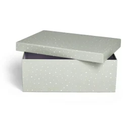 Boite carton décorée 48x33,5xH16cm - 2 modèles