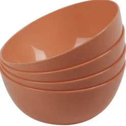 Bol en plastique couleur unie x 4