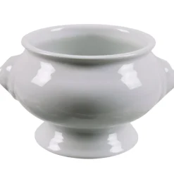 Bol tête de lion porcelaine