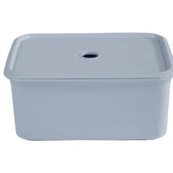 Boîte avec couvercle blueberry 3 L