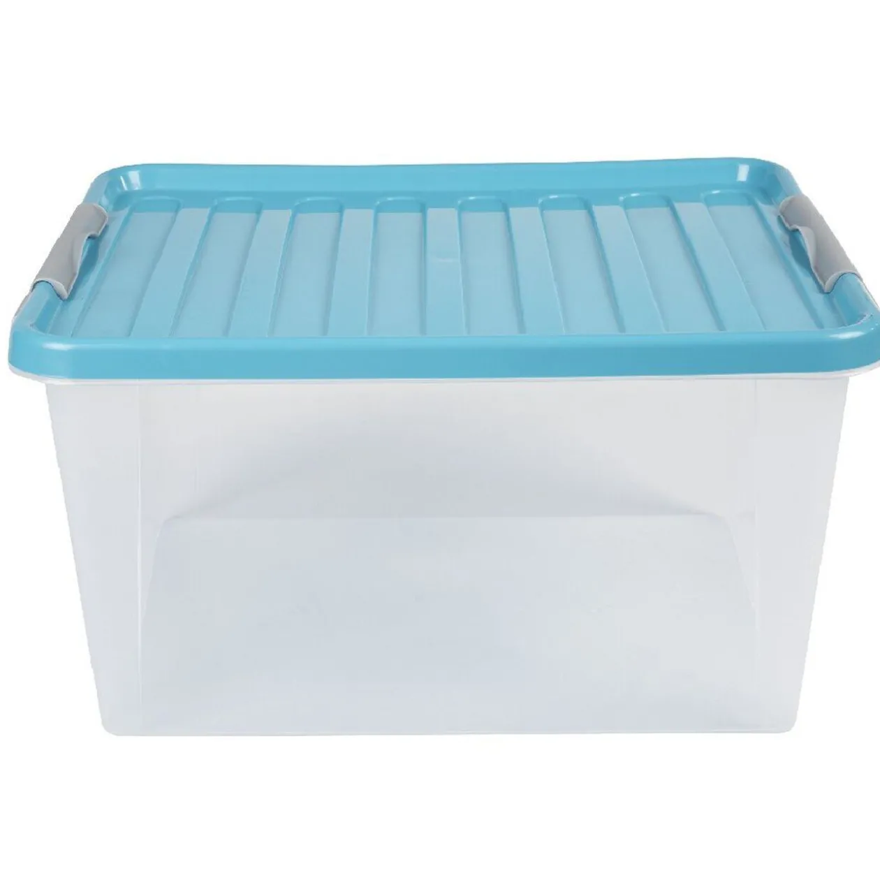 Boîte de rangement à clips 31 L transparent et violet