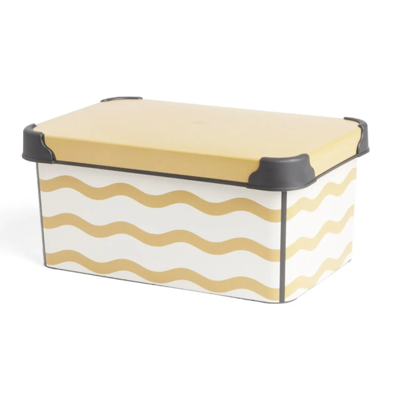 Boîte de rangement 5L - 28,5x19xH13,5cm