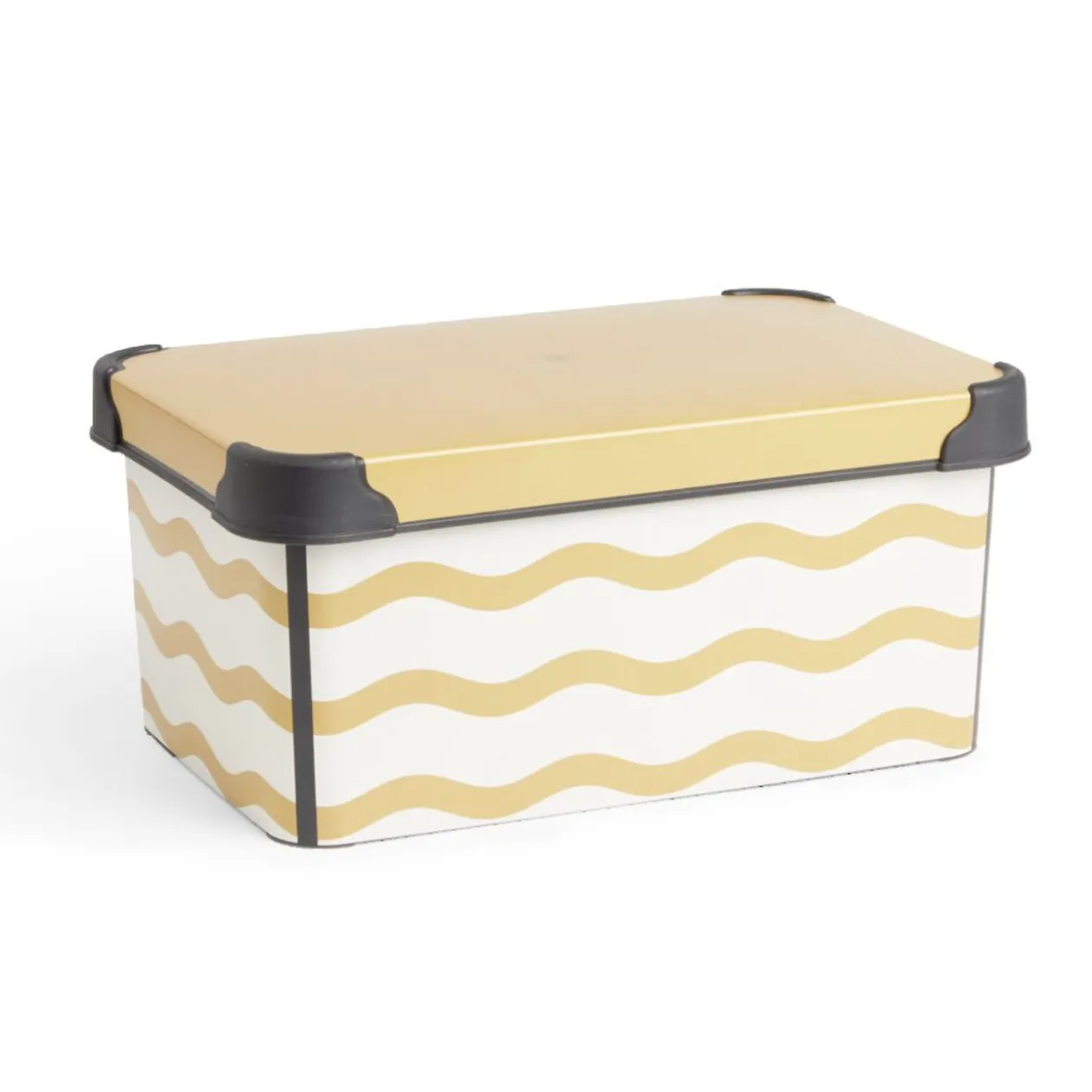 Boîte de rangement 5L - 28,5x19xH13,5cm