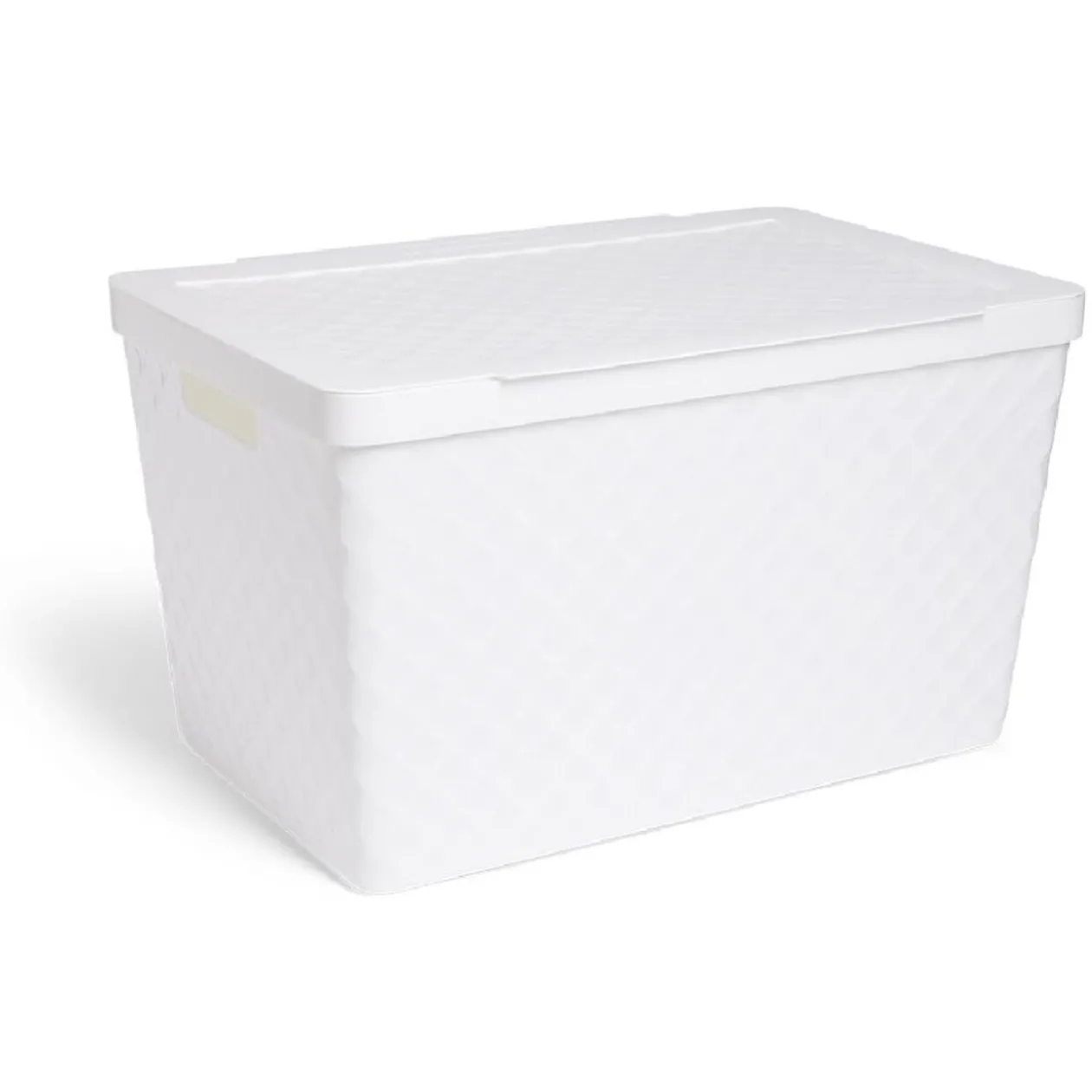 Boîte de rangement 51L plastique 56x36x32cm