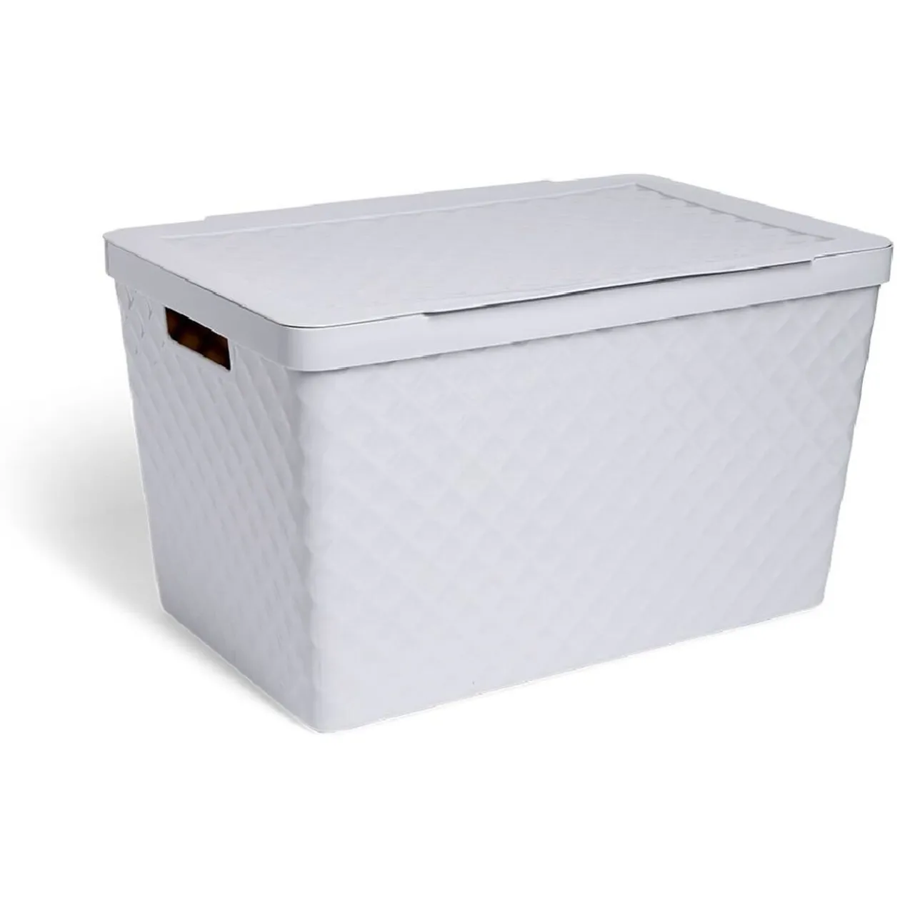Boîte de rangement 51L plastique 56x36x32cm