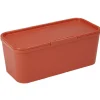 Boîte de rangement plastique rouge