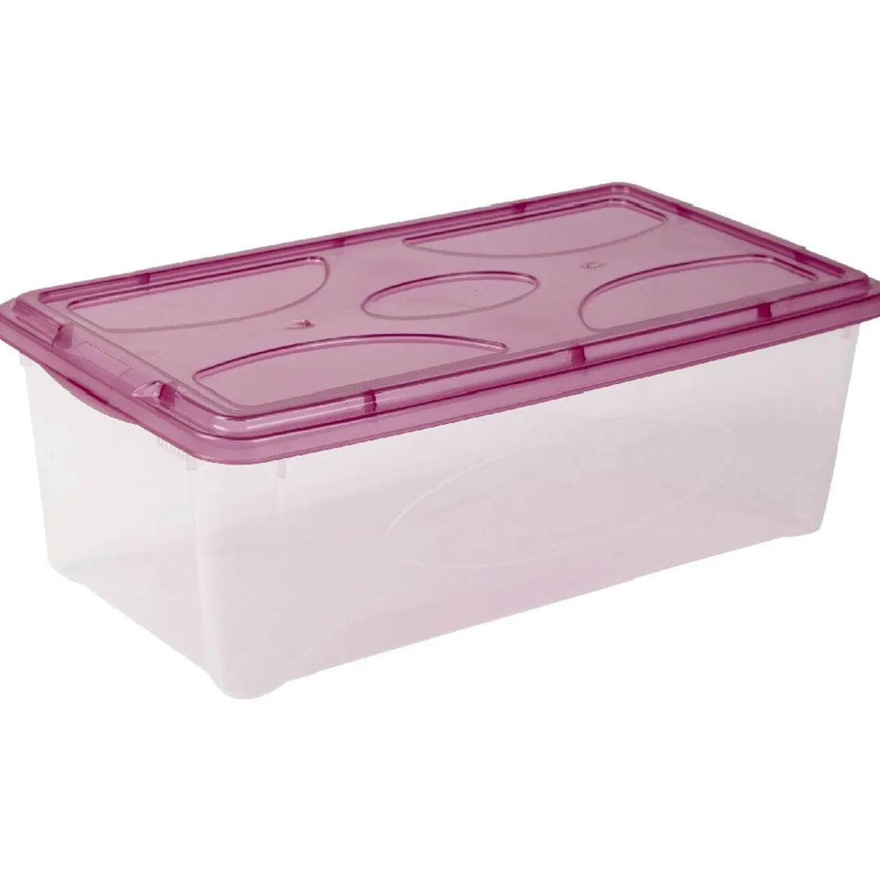 Box de rangement 5 L transparent et violet
