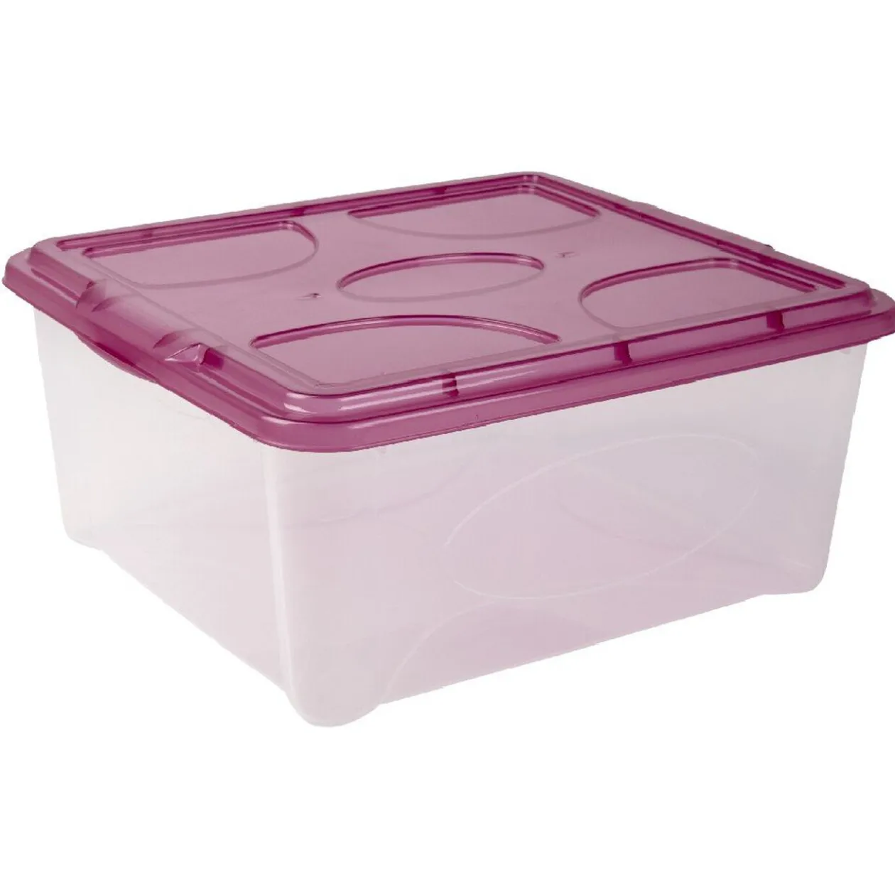 Box de rangement 18 L transparent et violet