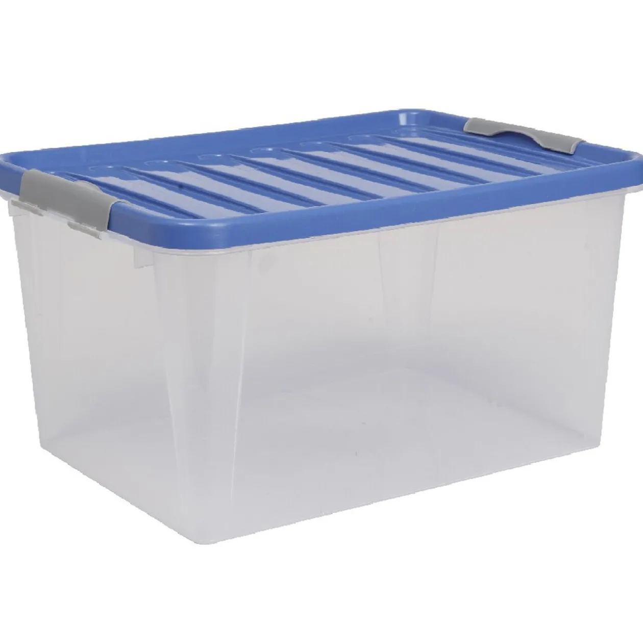 Box de rangement bleu roi 31 L