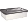 Box dessous de lit transparent et gris 30L