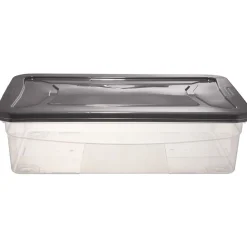 Box dessous de lit transparent et gris 30L