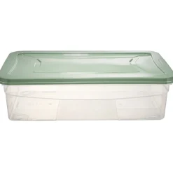 Box dessous de lit transparent et vert 30L