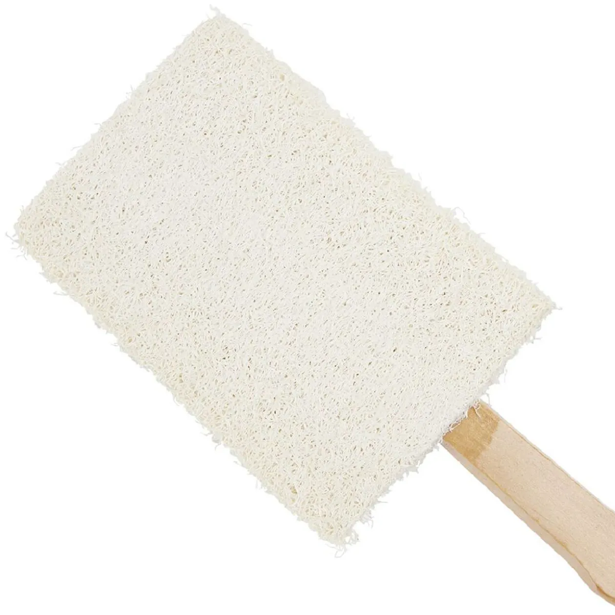 Brosse pour le corps double face brosse et éponge grattante