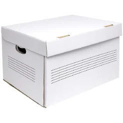 Carton d'archivage x2