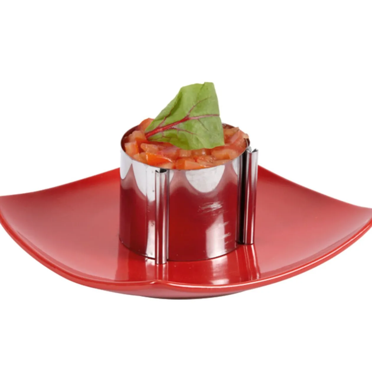 Cercle de présentation ajustable x2