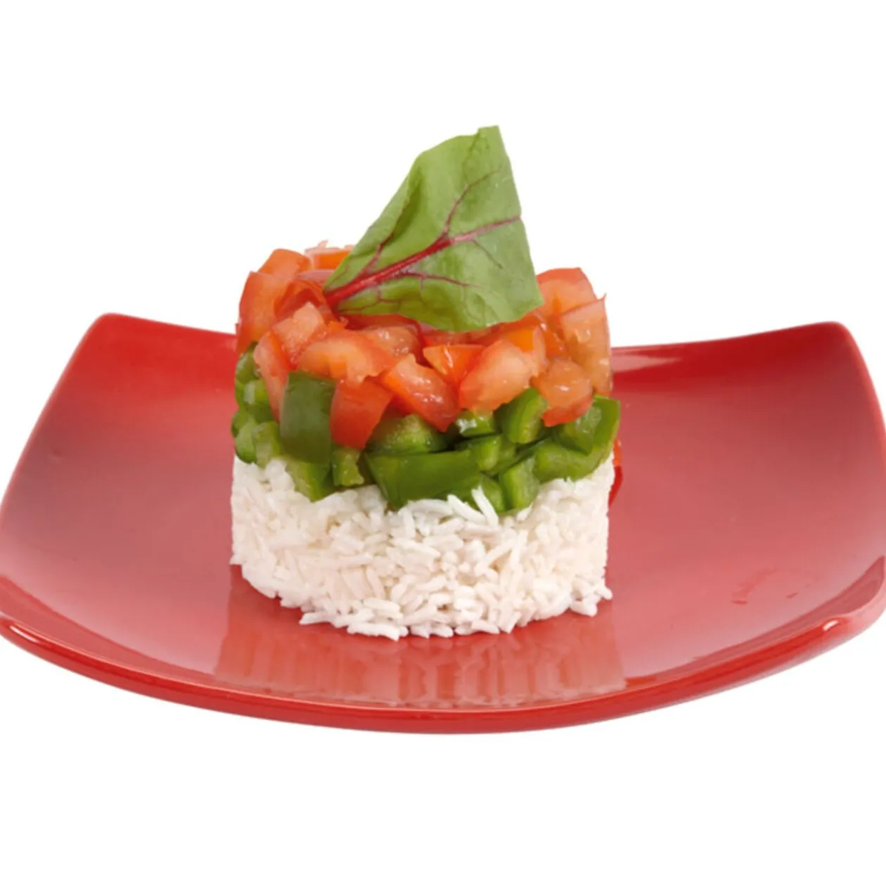 Cercle de présentation ajustable x2