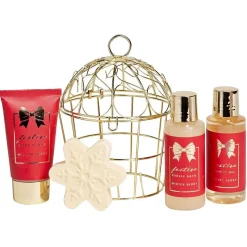 Coffret cadeau cage de bain 4 produits senteur baies d'hiver