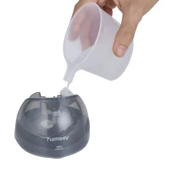 Défroisseur à main vertical 250ml