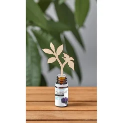 Diffuseur 3 sticks en bois + 1 huile essentielle