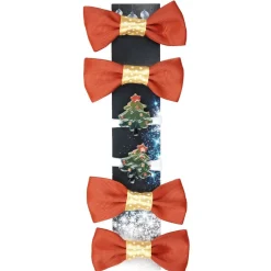 Elastique pour les cheveux