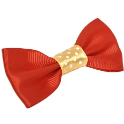 Elastique pour les cheveux