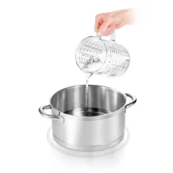 Extracteur de jus de fruits et légumes à la vapeur