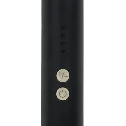 Fer à lisser noir 100/240V