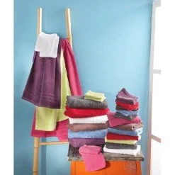 Gant de toilette x2 marron