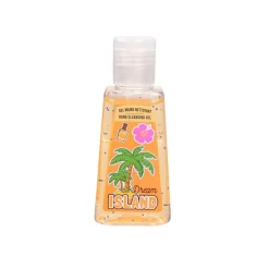 Gel nettoyant pour les mains parfum fruit 30 ml