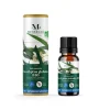 Huile essentielle Eucalyptus Globulus Bio 10ML Messegué