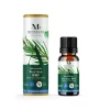 Huile essentielle tea tree bio