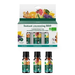 kit Huile essentielle Mességué noël synergie bio 5ml x3