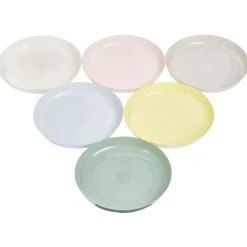 Lot de 6 assiettes en plastique réutilisable