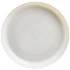 Lot de 6 assiettes en plastique réutilisable