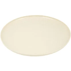 Lot de 4 assiettes plates beige