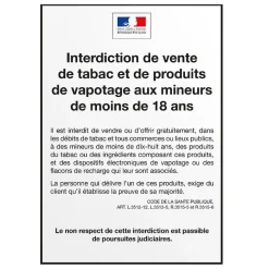 Lot de 4 briquets multicolore