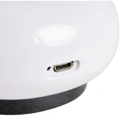 Masseur anti-cellulite rouler/palper