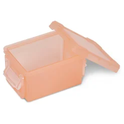 Mini boîte en plastique rose fermeture clips 0,30L - Lot de 2