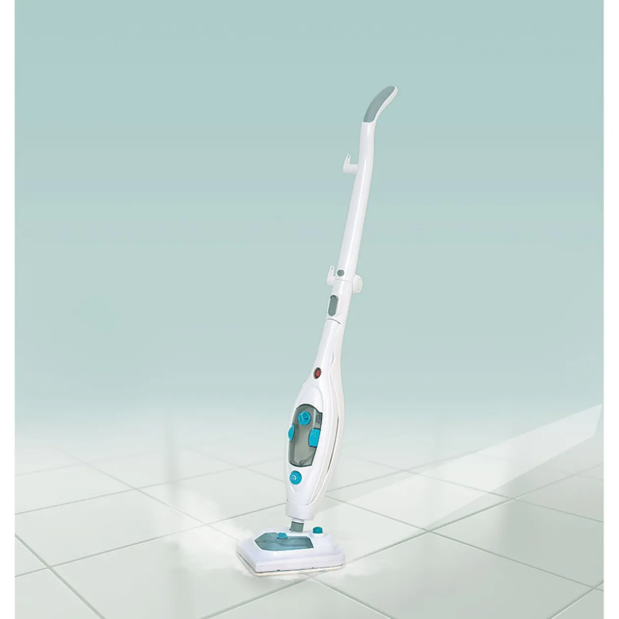 Nettoyeur vapeur multifonctions Homday 10en1 blanc