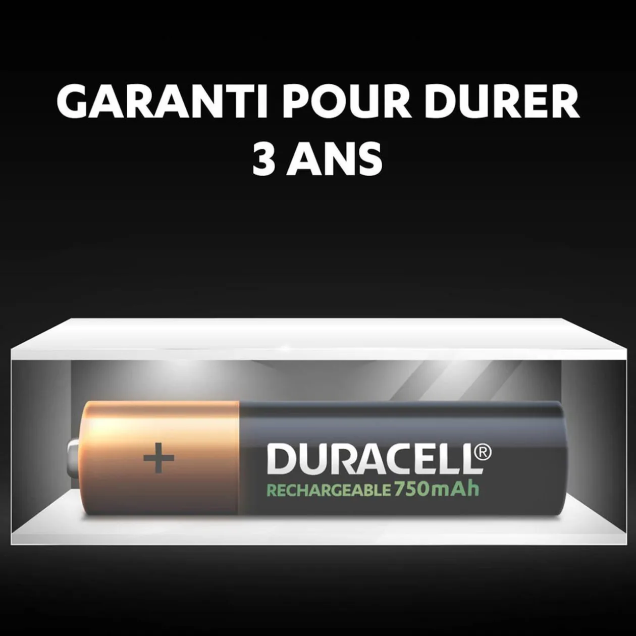 Pile rechargeable Duracell AAA 750mAh - Lot de 4
