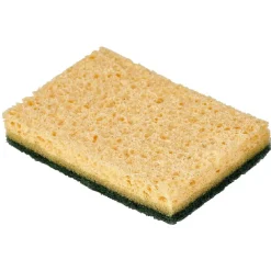 Éponge grattante x 2