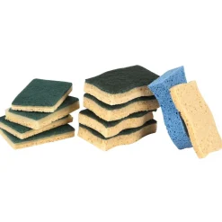 Éponge x10