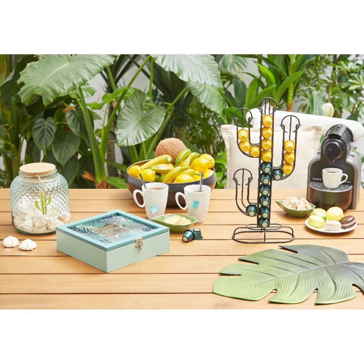 Porte capsule café déco en forme de cactus noir