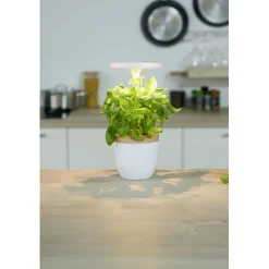 Potager d'intérieur à éclairage led CECOA