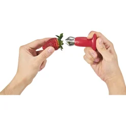 Équeuteur à fraises inox