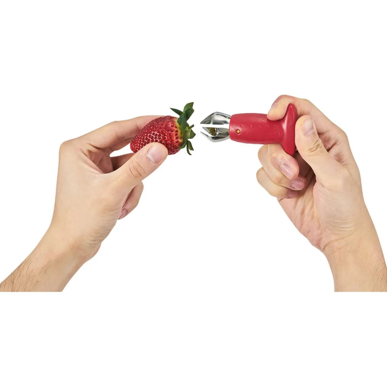 Équeuteur à fraises inox